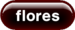 Flores Photos
