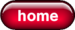 home button